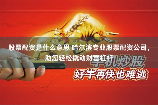 股票配资是什么意思 哈尔滨专业股票配资公司，助您轻松撬动财富杠杆