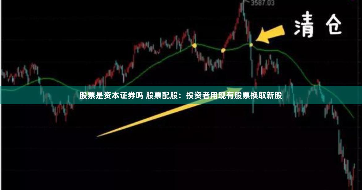 股票是资本证券吗 股票配股：投资者用现有股票换取新股