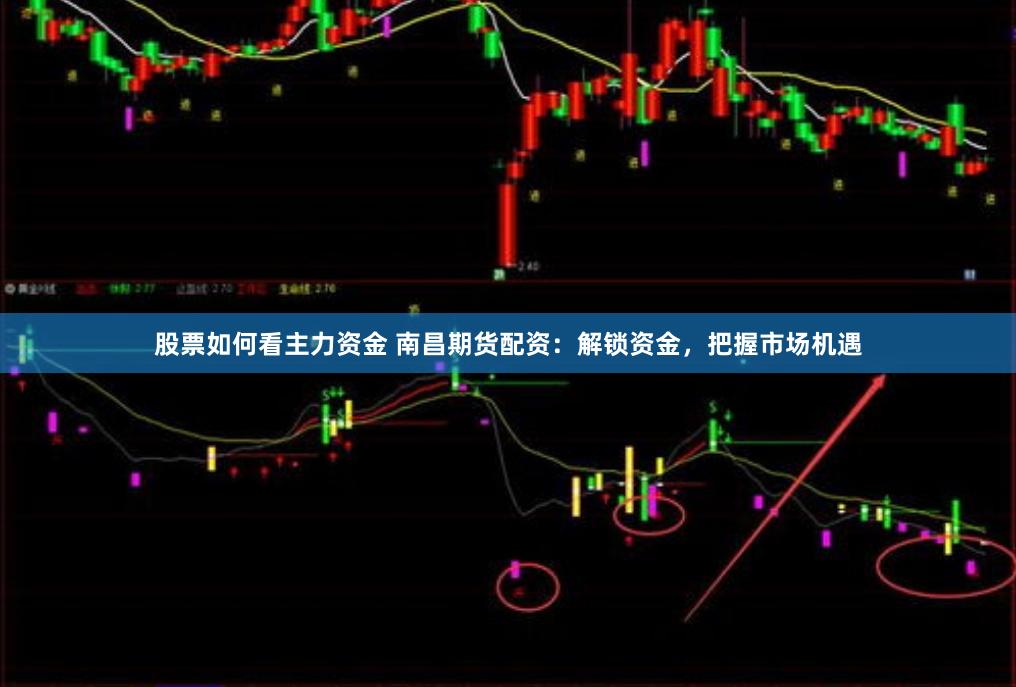 股票如何看主力资金 南昌期货配资：解锁资金，把握市场机遇